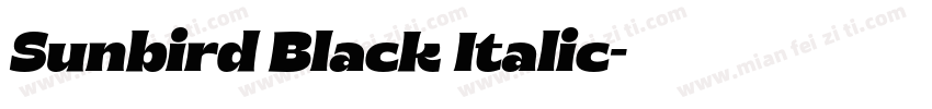 Sunbird Black Italic字体转换